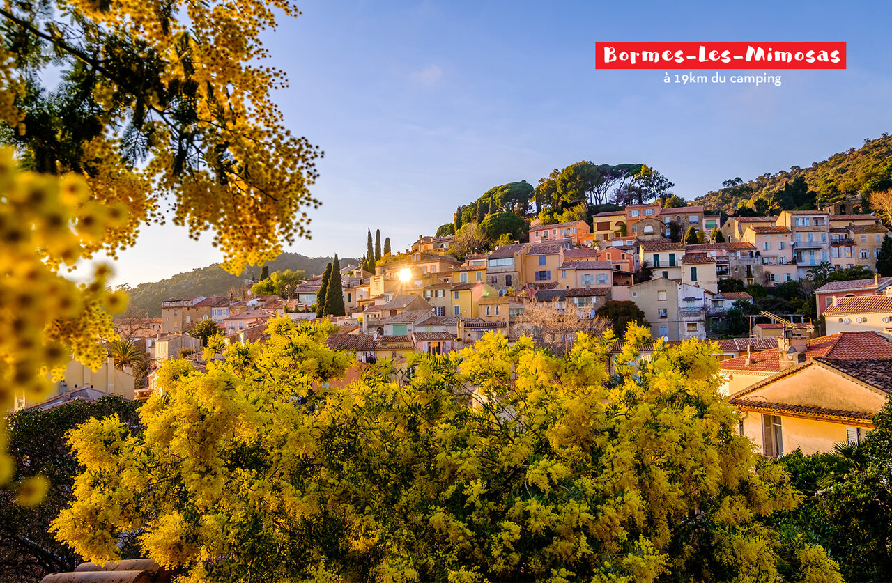 Bloeiend dorp Bormes-les-Mimosas met mimosa's in bloei, te bezoeken in de Var.