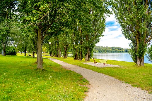 Natuur, speeltuin op camping CAPFUN Palais de Gaufrette in Rémering les Puttelange (57).