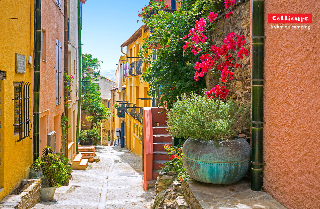 Kleurrijke en bloemrijke straat in Collioure, mooie stad te bezoeken nabij de camping.