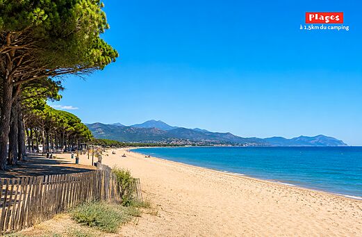 Zandstrand en pijnbomen bij CAPFUN Paris Roussillon in ARGELES SUR MER (66).