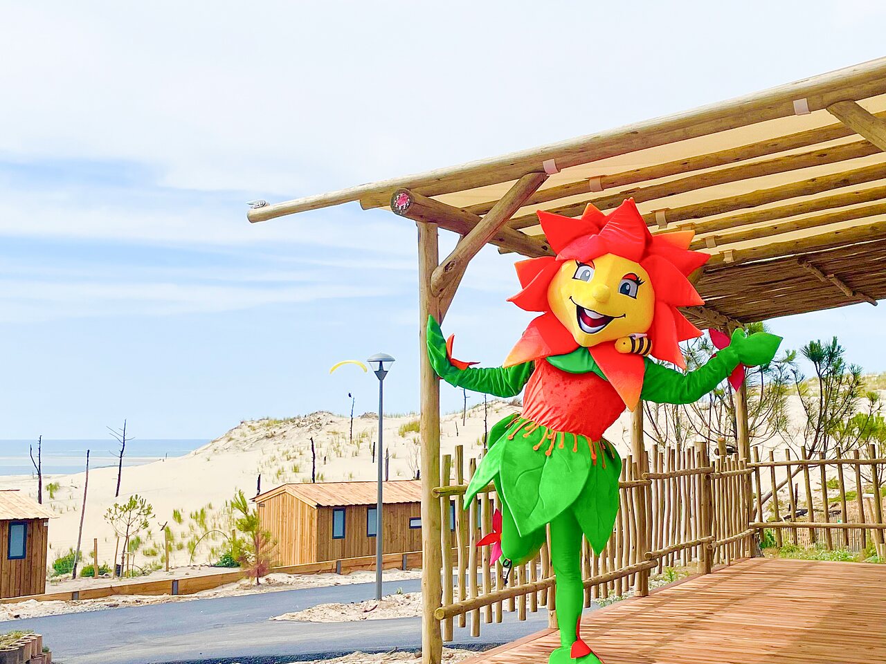 Bloem mascotte, duinen, stacaravans, op camping CLICOCHIC Petit Nice in PYLA SUR MER (33).