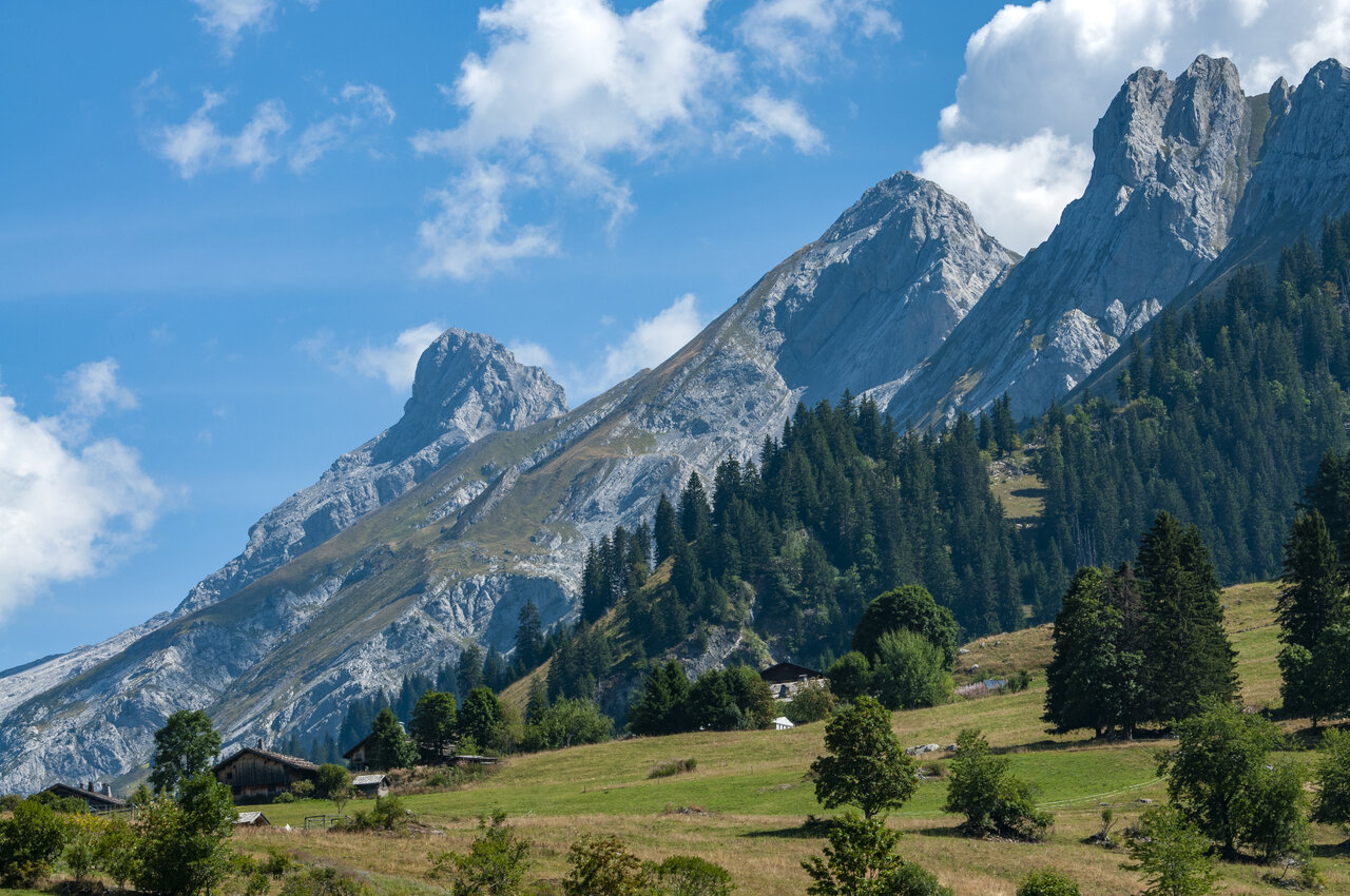 Rotsachtige bergen, dennenbossen en weiden op CAPFUN Plan du Fernuy LA CLUSAZ.