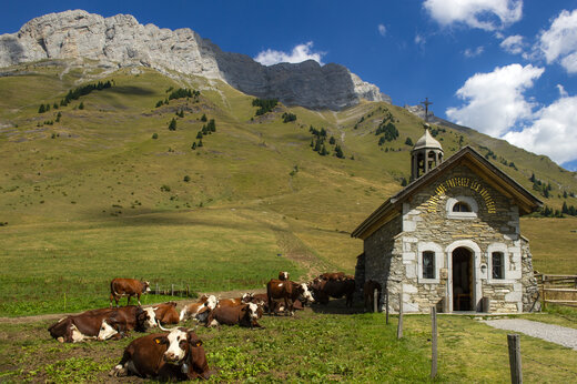 Stenen bergkapel met koeien, Alpenlandschap nabij La Clusaz.