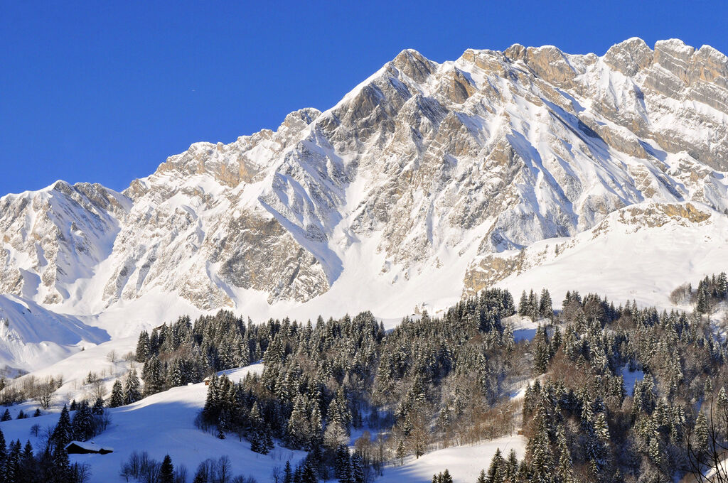 Le Plan du Fernuy, Vakantiepark Rhone-Alpen - 16