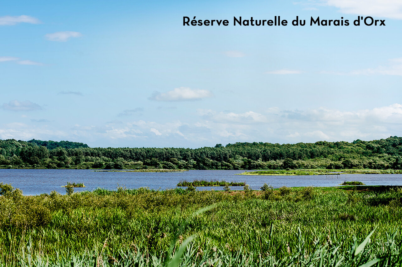 Natuurreservaat Marais d'Orx, een bezienswaardigheid nabij Saubion.