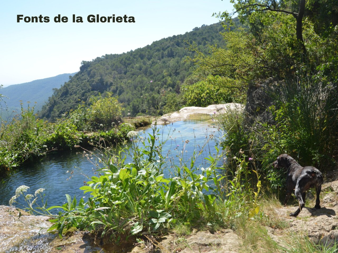 Natuurlijke poelen Fonts de la Glorieta, berglandschap nabij Vilanova de Prades.