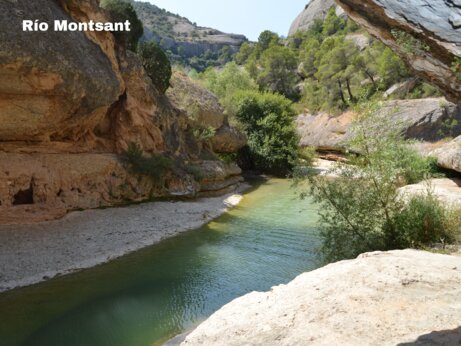 Río Montsant, rotsachtig natuurlandschap met rivier en bomen nabij Vilanova de Prades.