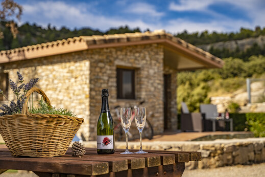 Stenen accommodatie, Cava op camping CAPFUN Serra de Prades in Vilanova de Prades.