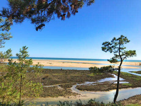 Strand, estuarium en zee op camping CAPFUN Prises, La TRANCHE SUR MER.