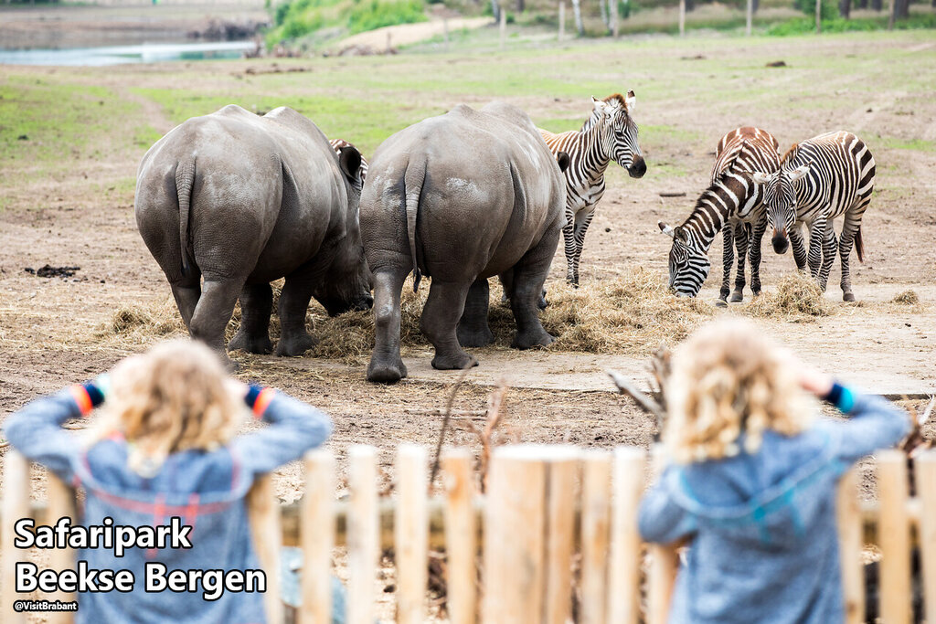 Rakelbos, Vakantiepark Brabant - 14
