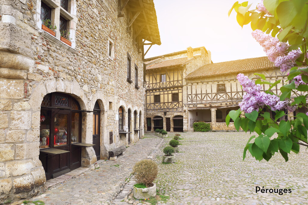 La Rgnire, Vakantiepark Rhone-Alpen - 10