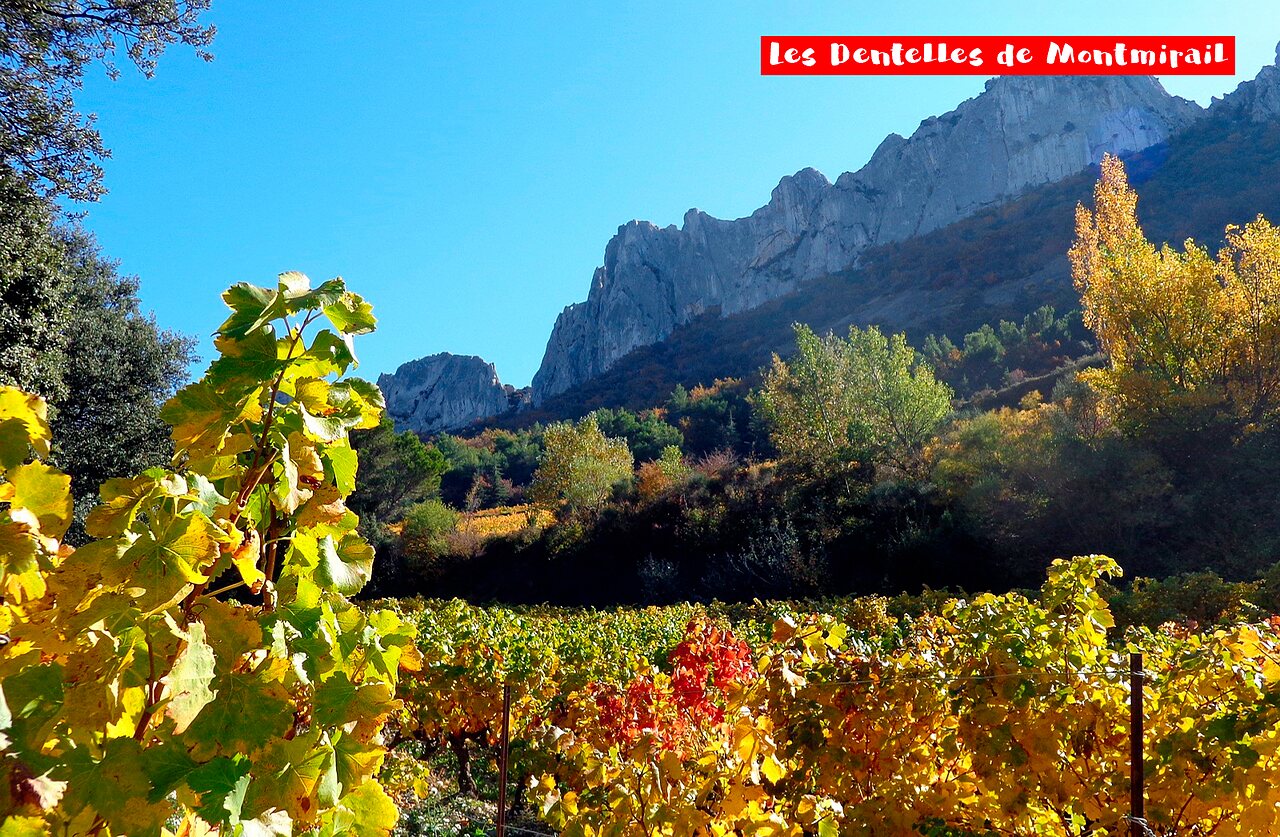 Les Dentelles de Montmirail en kleurrijke wijngaarden, een bezienswaardigheid in de Provence.