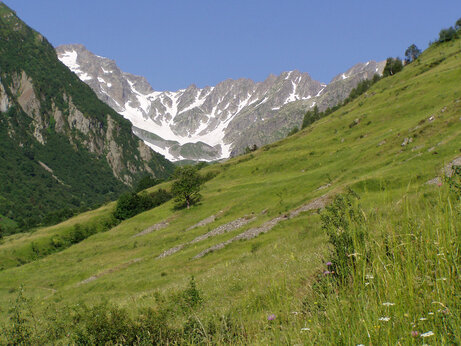 Groen berglandschap met besneeuwde toppen op camping CAPFUN Saint Colomban des Villards.