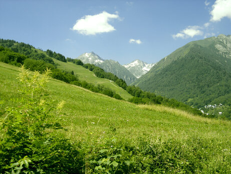 Groene bergen, besneeuwde toppen en alpendal op camping CAPFUN Saint Colomban des Villards.