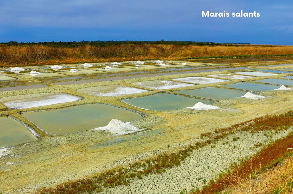 Les Seulires, Vakantiepark Poitou Charentes - 10