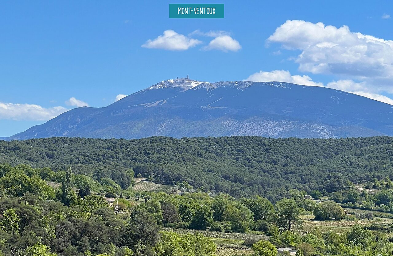 Besneeuwde Mont Ventoux, groen natuurlandschap in de Provence, Frankrijk.
