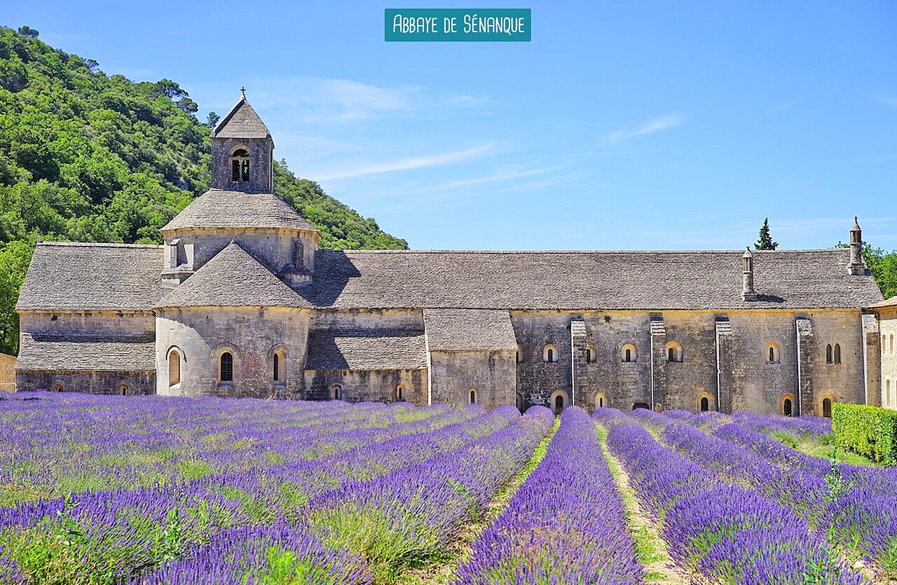 Abdij van S�nanque en lavendelvelden, bezienswaardigheid in de Provence.