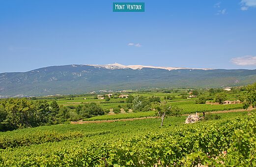 Mont Ventoux, iconische plek nabij de camping in de Provence.