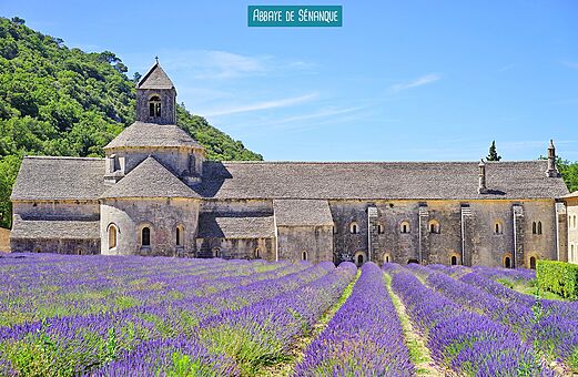 Abdij van S�nanque en lavendelvelden, bezienswaardigheid in de Provence.