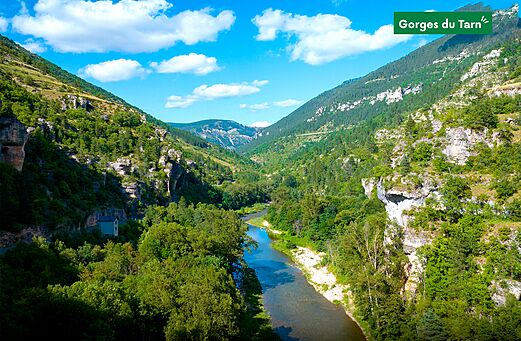 Gorges du Tarn, spectaculair natuurlandschap met rivier en groene kliffen.