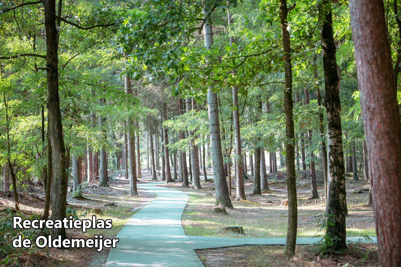 Slenterpad in het bos naar Recreatieplas de Oldemeijer, nabij Rheeze.