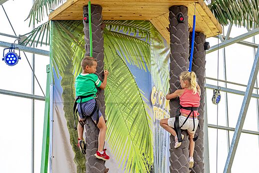 Kinderen klimmen op palmbomen, speelactiviteit op camping CAPFUN het Stoetenslagh in Rheezerveen.