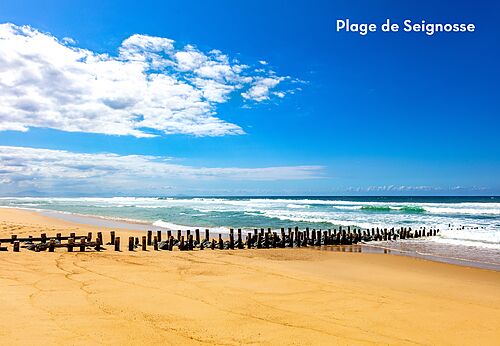 Strand van Seignosse met houten palen, een plek om te bezoeken in Les Landes.