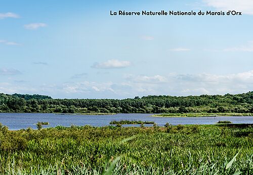 Nationaal Natuurreservaat van Orx, bezienswaardigheid nabij Labenne.