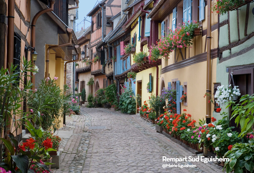 Suzel, Vakantiepark Alsace - 15