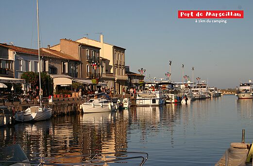 Haven van Marseillan met aangemeerde boten en levendige terrassen, Hérault, Occitanie.