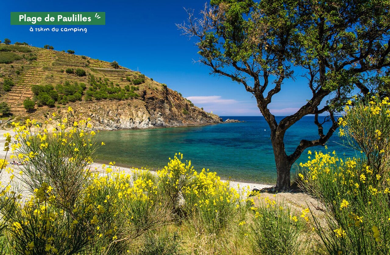 Strand van Paulilles, mediterrane baai met turquoise water, Pyr�n�es-Orientales.