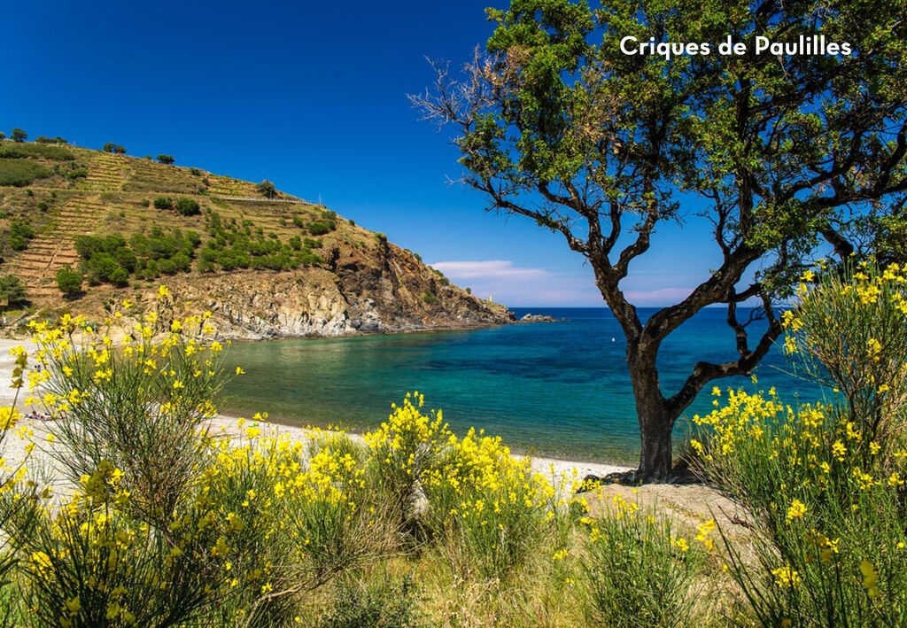 Texas, Vakantiepark Languedoc Roussillon - 2