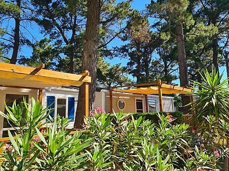 Moderne stacaravan met schaduwrijk terras onder pijnbomen op camping CLICOCHIC Texas Argelès.