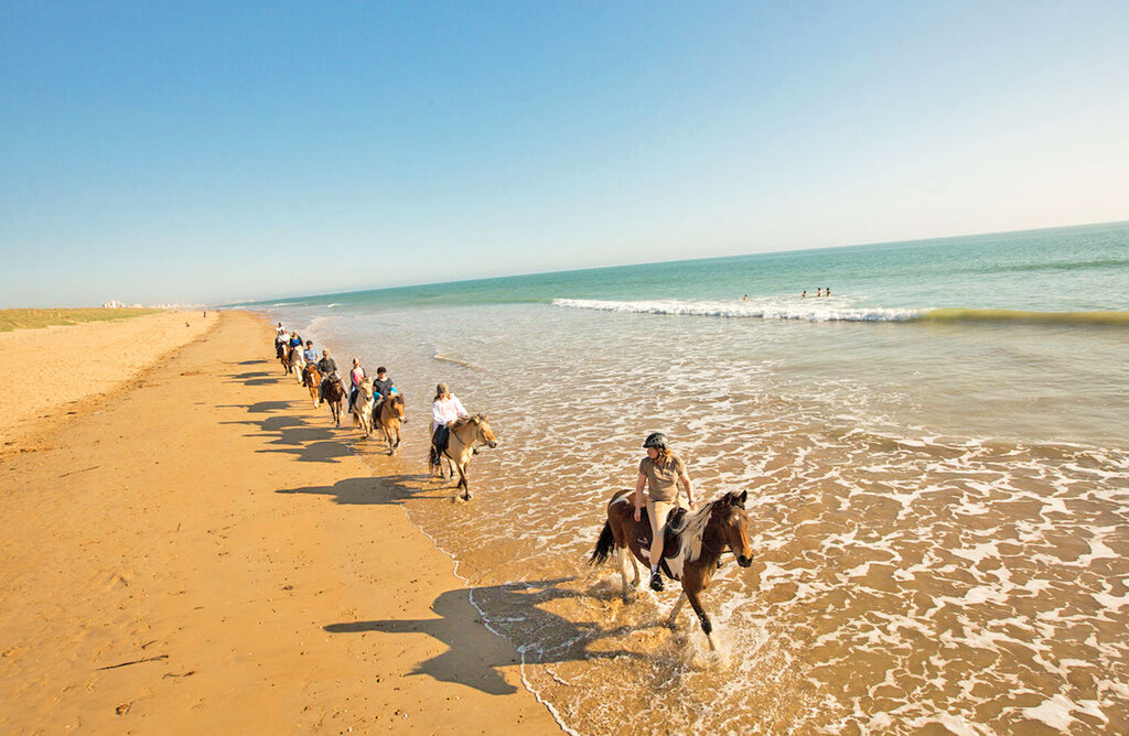 Plage des Tonnelles, Camping Loirestreek - 18