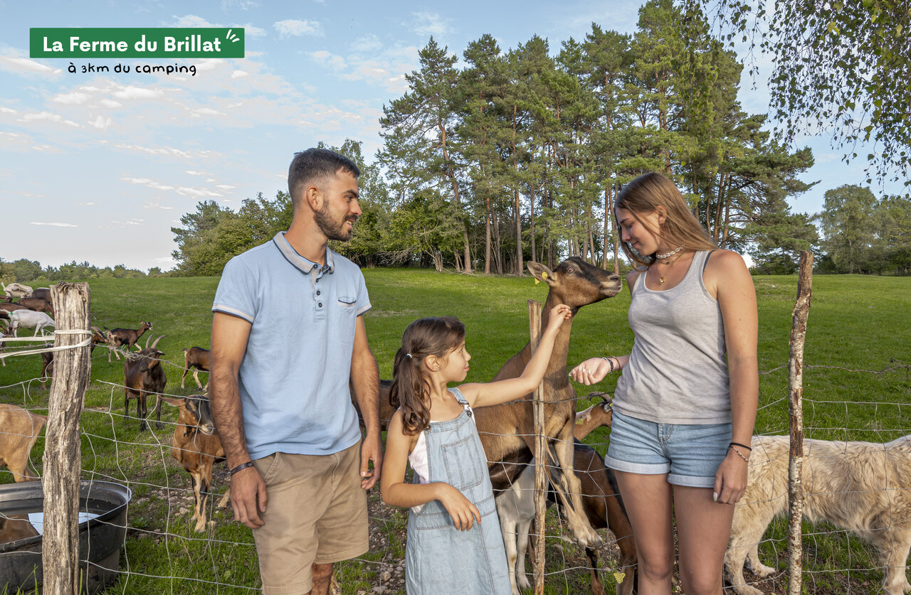 Familie voedt geiten op La Ferme du Brillat, bezienswaardigheid nabij de camping.
