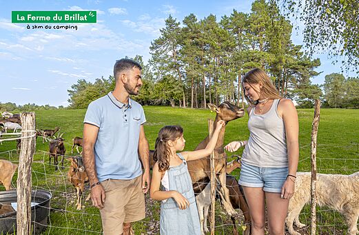 Familie voedt geiten op La Ferme du Brillat, een plek om te bezoeken.