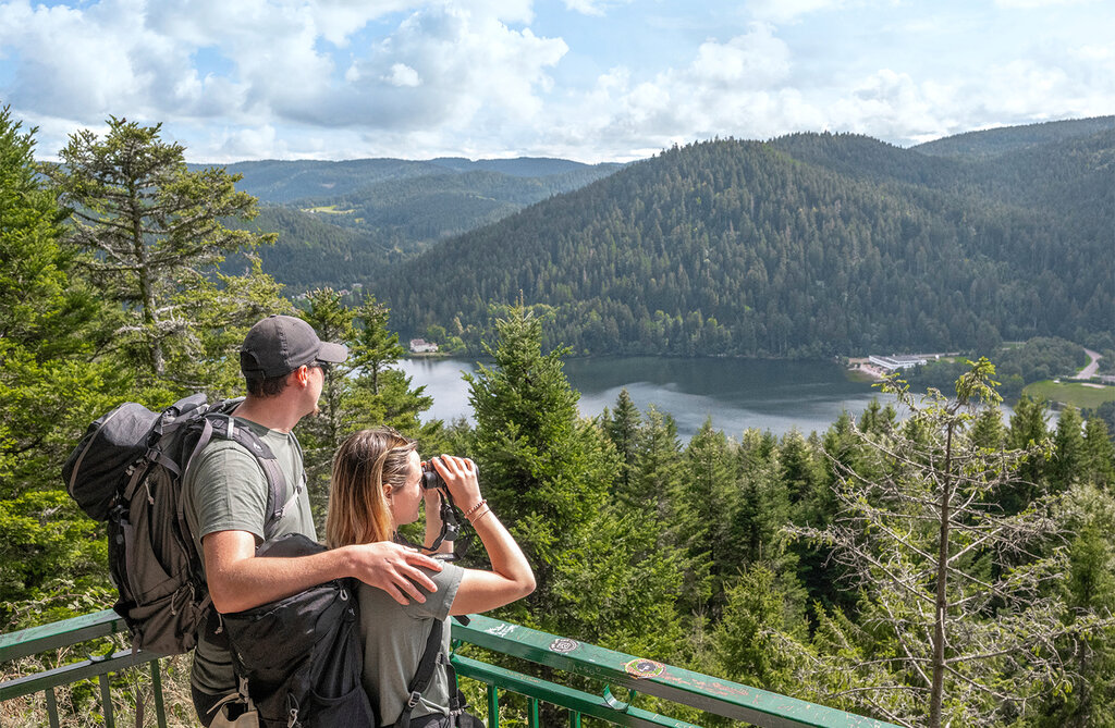 Verte Vall�e, Vakantiepark Lorraine - 20