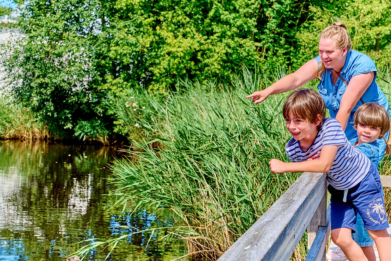 Familie observeert de natuur aan het water op camping CAPFUN De Waldsang in Bakkeveen.