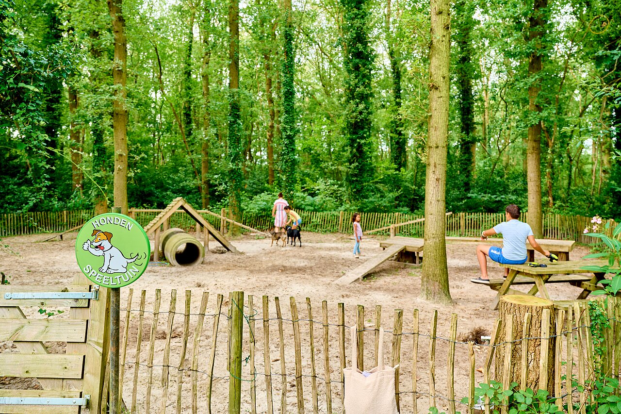 Omheinde honden speeltuin met agility toestellen op camping CAPFUN De Waldsang in Bakkeveen.