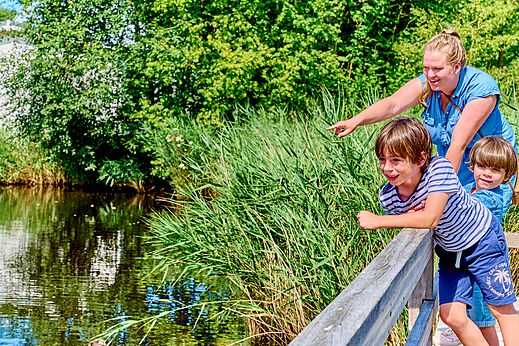 Familie observeert de natuur aan het water op camping CAPFUN De Waldsang.