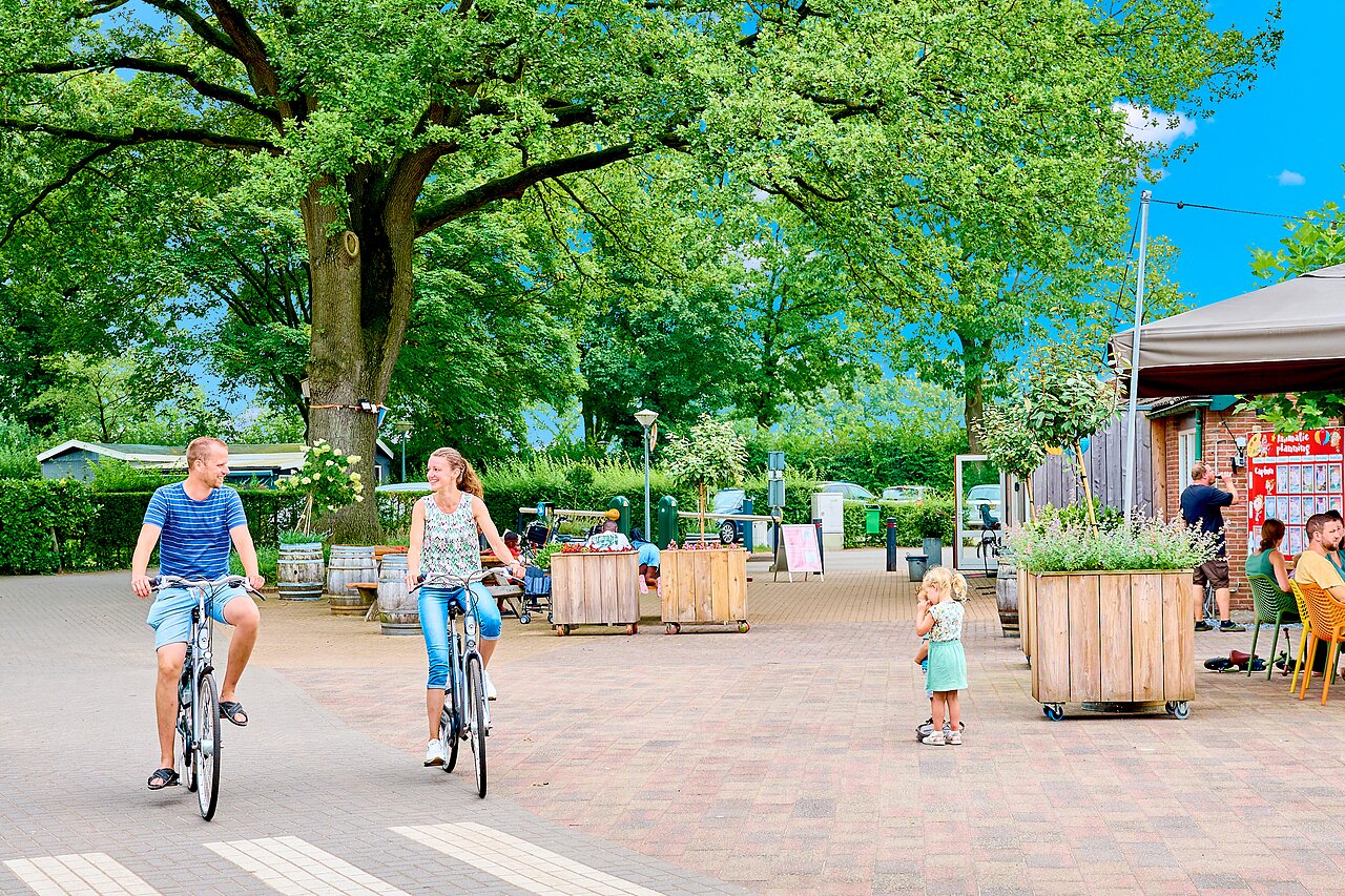 Koppel op fietsen op groene laan, camping CAPFUN Wieskamp te Winterswijk Henxel.