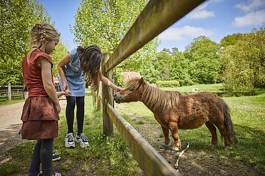 Kinderen aaien een pony op de miniboerderij bij camping CAPFUN het Winkel in Winterswijk.