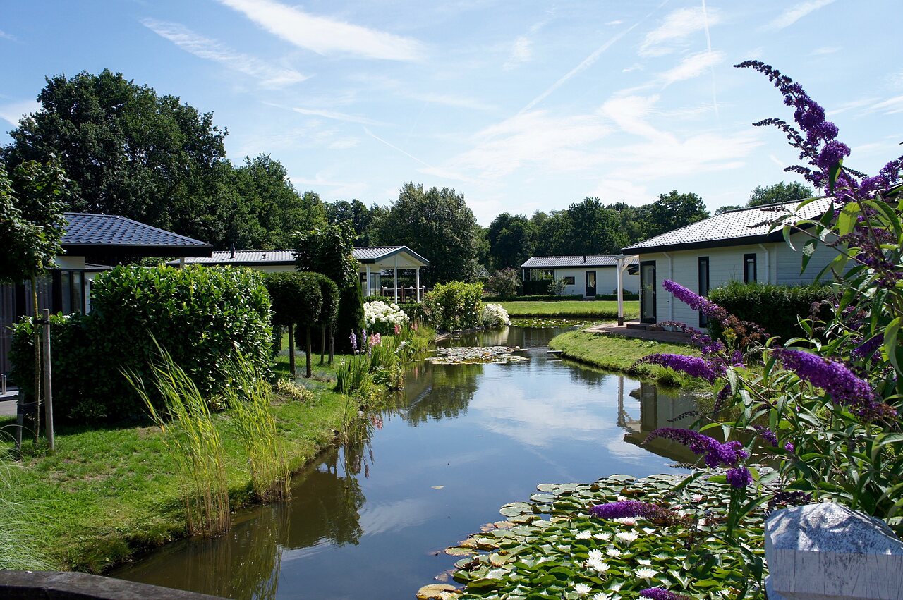 Moderne Mobil-homes aan een bloemrijke vijver, weelderige natuur op camping CAPFUN Zeumersehof in Voorthuizen.